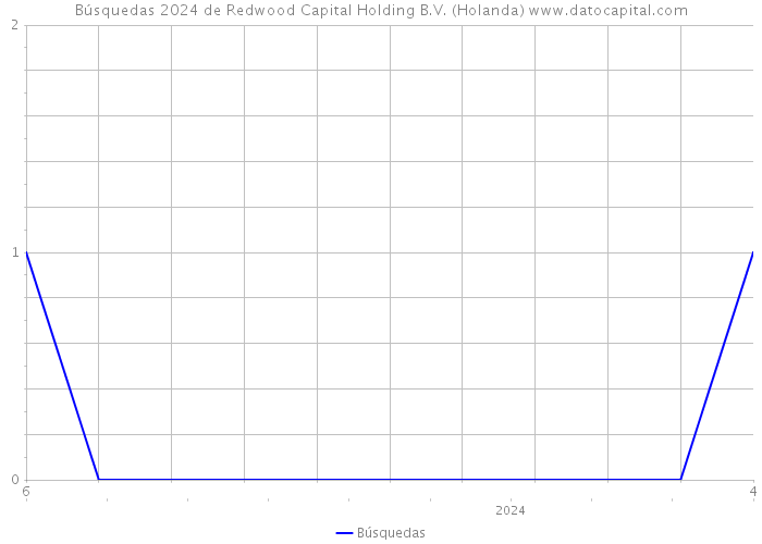 Búsquedas 2024 de Redwood Capital Holding B.V. (Holanda) 