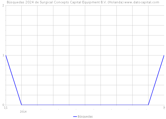 Búsquedas 2024 de Surgical Concepts Capital Equipment B.V. (Holanda) 