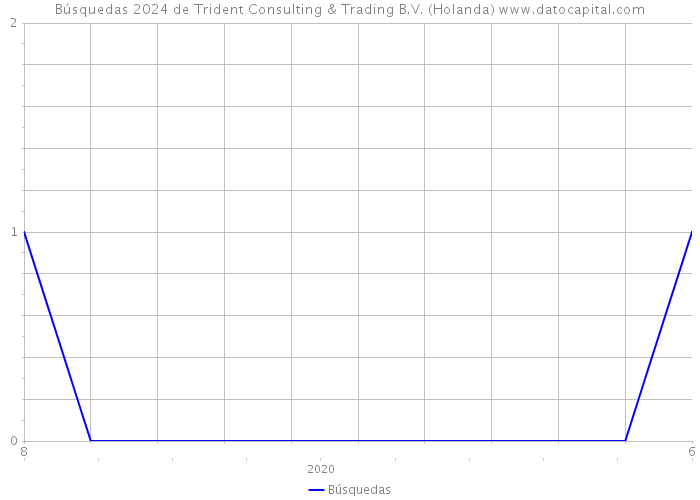 Búsquedas 2024 de Trident Consulting & Trading B.V. (Holanda) 