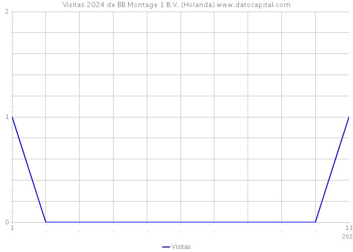 Visitas 2024 de BB Montage 1 B.V. (Holanda) 