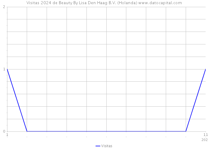 Visitas 2024 de Beauty By Lisa Den Haag B.V. (Holanda) 