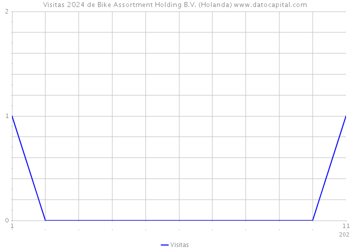 Visitas 2024 de Bike Assortment Holding B.V. (Holanda) 
