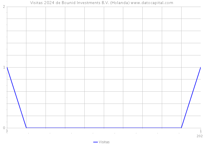 Visitas 2024 de Bounid Investments B.V. (Holanda) 