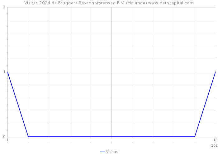 Visitas 2024 de Bruggers Ravenhorsterweg B.V. (Holanda) 