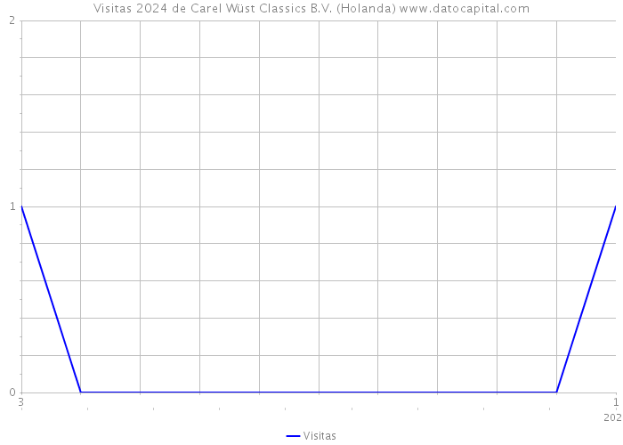 Visitas 2024 de Carel Wüst Classics B.V. (Holanda) 