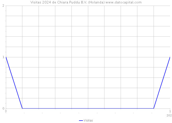 Visitas 2024 de Chiara Puddu B.V. (Holanda) 