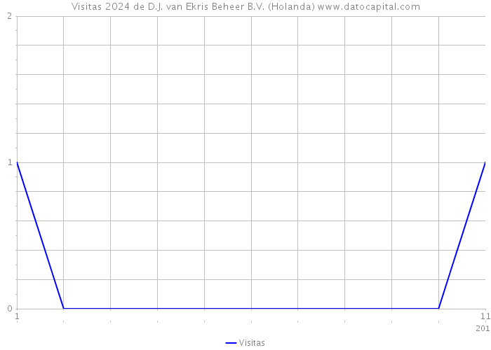 Visitas 2024 de D.J. van Ekris Beheer B.V. (Holanda) 