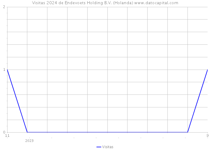 Visitas 2024 de Endevoets Holding B.V. (Holanda) 