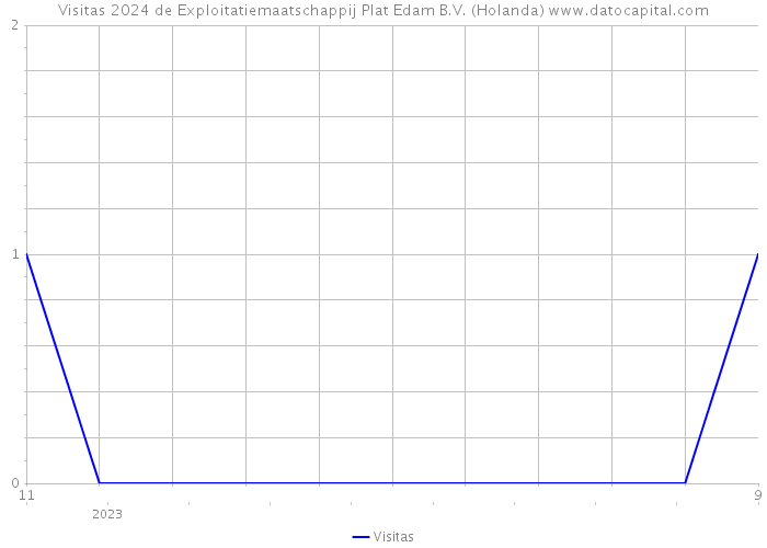 Visitas 2024 de Exploitatiemaatschappij Plat Edam B.V. (Holanda) 