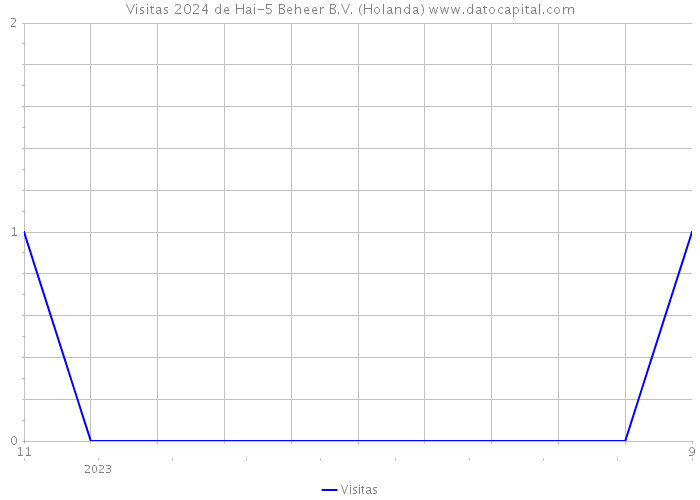 Visitas 2024 de Hai-5 Beheer B.V. (Holanda) 