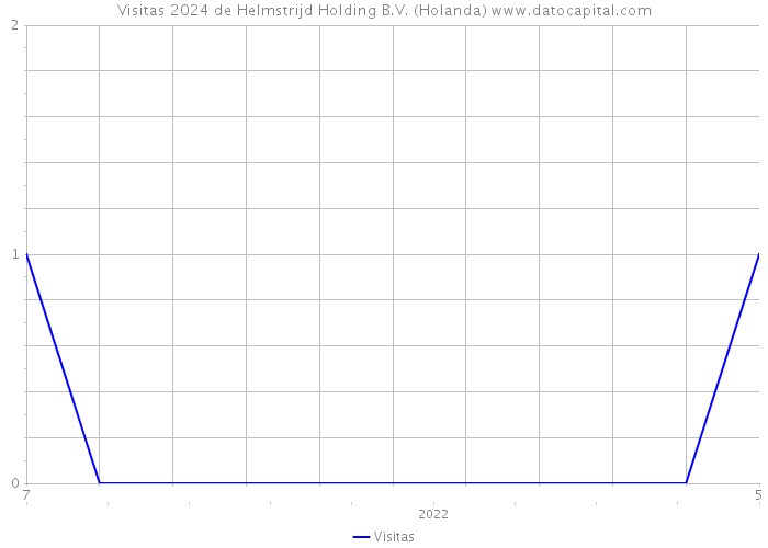 Visitas 2024 de Helmstrijd Holding B.V. (Holanda) 