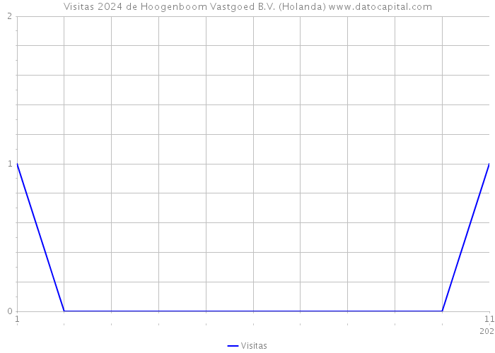 Visitas 2024 de Hoogenboom Vastgoed B.V. (Holanda) 