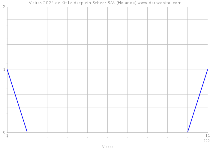 Visitas 2024 de Kit Leidseplein Beheer B.V. (Holanda) 