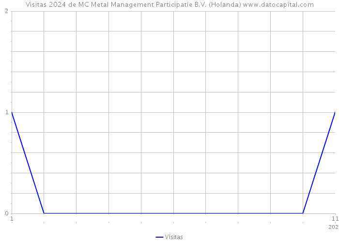 Visitas 2024 de MC Metal Management Participatie B.V. (Holanda) 