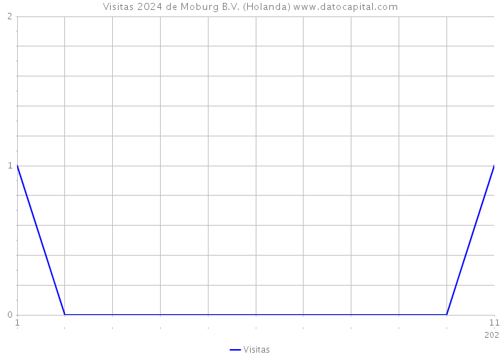 Visitas 2024 de Moburg B.V. (Holanda) 