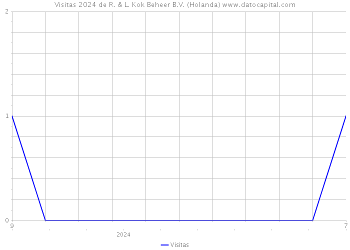 Visitas 2024 de R. & L. Kok Beheer B.V. (Holanda) 