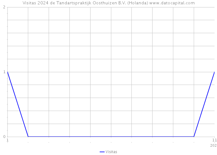 Visitas 2024 de Tandartspraktijk Oosthuizen B.V. (Holanda) 