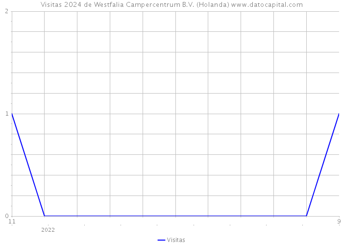 Visitas 2024 de Westfalia Campercentrum B.V. (Holanda) 