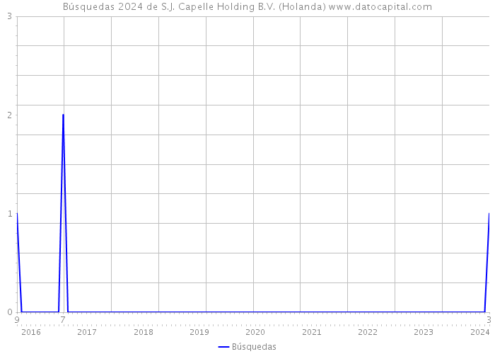 Búsquedas 2024 de S.J. Capelle Holding B.V. (Holanda) 