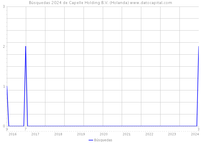 Búsquedas 2024 de Capelle Holding B.V. (Holanda) 