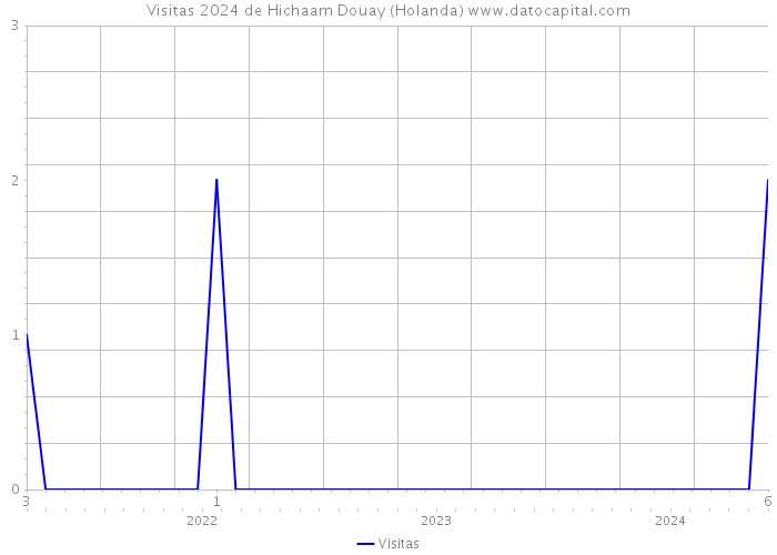 Visitas 2024 de Hichaam Douay (Holanda) 