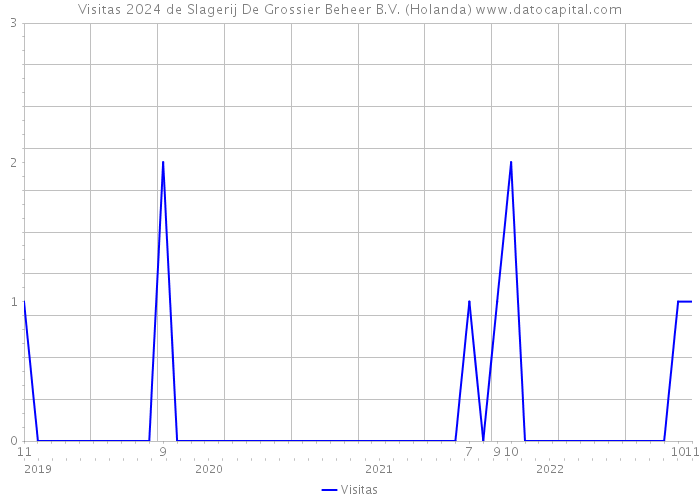 Visitas 2024 de Slagerij De Grossier Beheer B.V. (Holanda) 