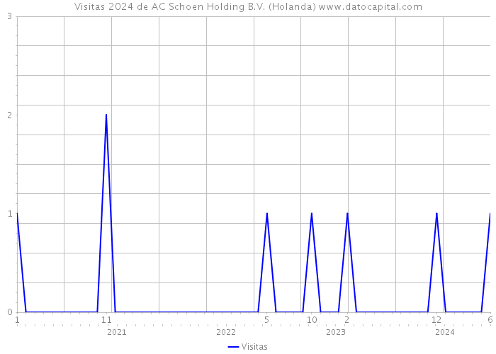 Visitas 2024 de AC Schoen Holding B.V. (Holanda) 