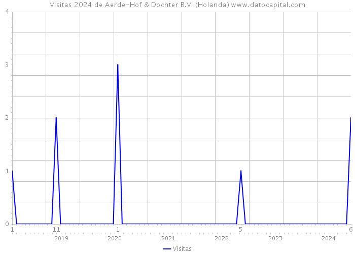 Visitas 2024 de Aerde-Hof & Dochter B.V. (Holanda) 