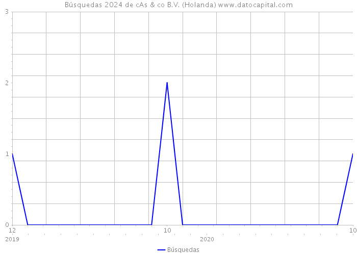 Búsquedas 2024 de cAs & co B.V. (Holanda) 