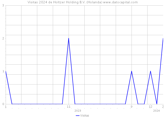 Visitas 2024 de Holtzer Holding B.V. (Holanda) 