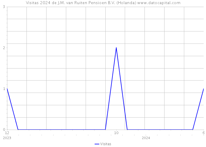 Visitas 2024 de J.M. van Ruiten Pensioen B.V. (Holanda) 