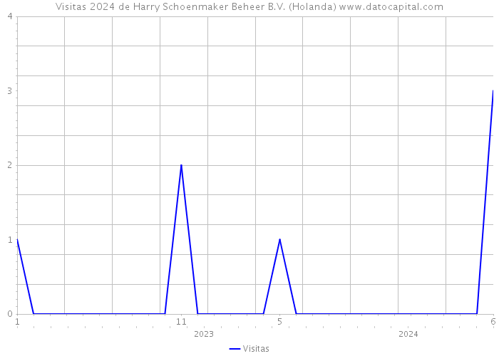 Visitas 2024 de Harry Schoenmaker Beheer B.V. (Holanda) 