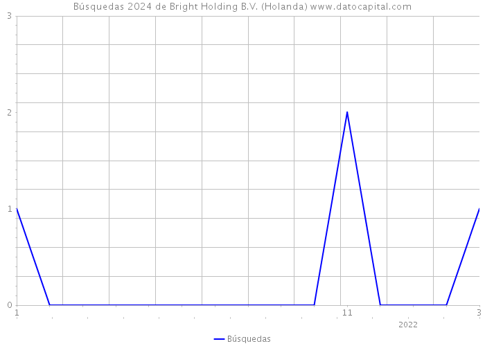 Búsquedas 2024 de Bright Holding B.V. (Holanda) 