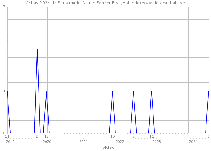 Visitas 2024 de Bouwmarkt Aalten Beheer B.V. (Holanda) 