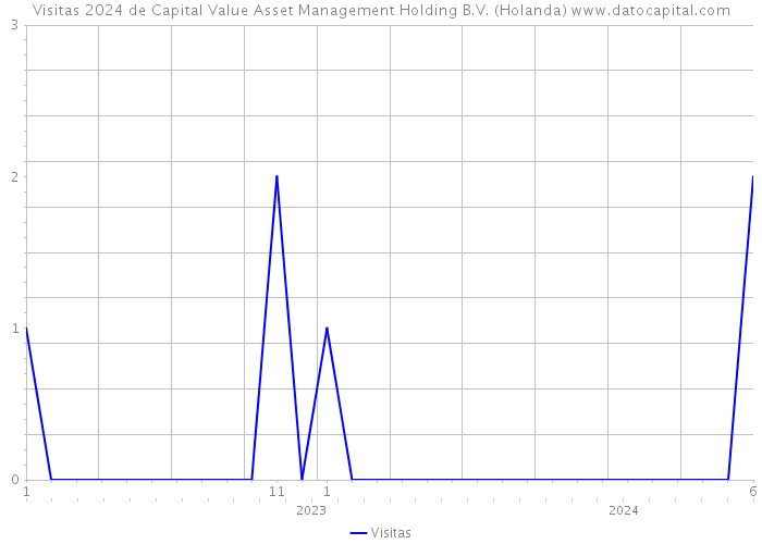 Visitas 2024 de Capital Value Asset Management Holding B.V. (Holanda) 