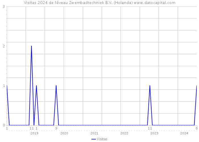 Visitas 2024 de Niveau Zwembadtechniek B.V. (Holanda) 