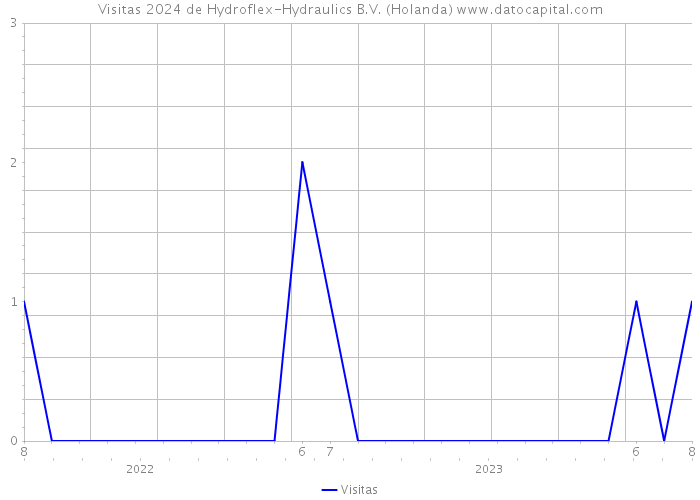 Visitas 2024 de Hydroflex-Hydraulics B.V. (Holanda) 