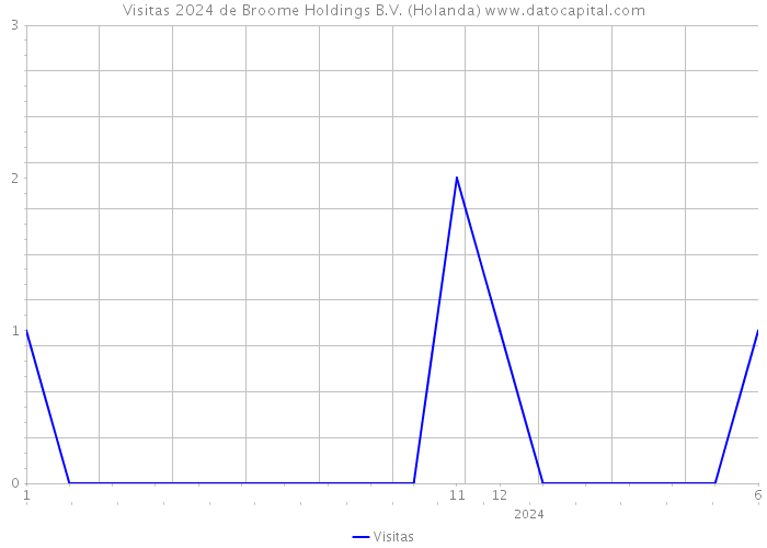 Visitas 2024 de Broome Holdings B.V. (Holanda) 