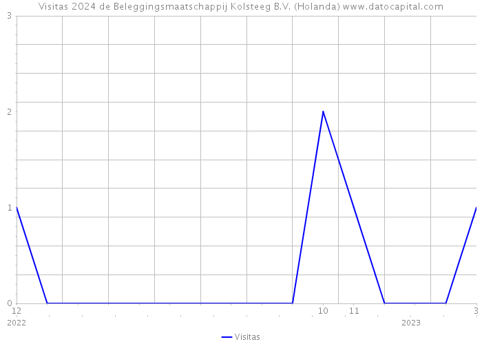 Visitas 2024 de Beleggingsmaatschappij Kolsteeg B.V. (Holanda) 