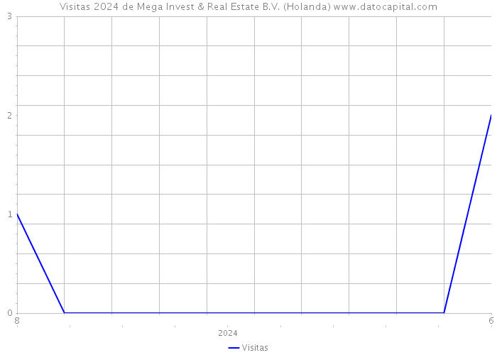 Visitas 2024 de Mega Invest & Real Estate B.V. (Holanda) 