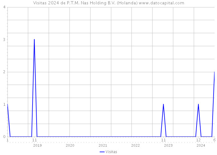 Visitas 2024 de P.T.M. Nas Holding B.V. (Holanda) 