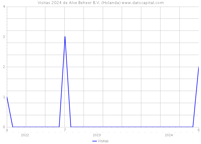 Visitas 2024 de Alve Beheer B.V. (Holanda) 