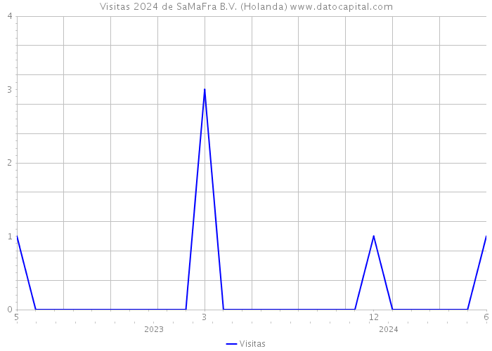 Visitas 2024 de SaMaFra B.V. (Holanda) 