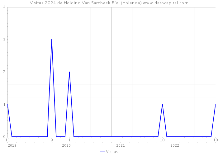 Visitas 2024 de Holding Van Sambeek B.V. (Holanda) 