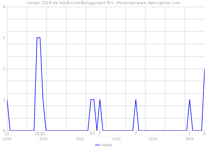 Visitas 2024 de Veldboom Beleggingen B.V. (Holanda) 