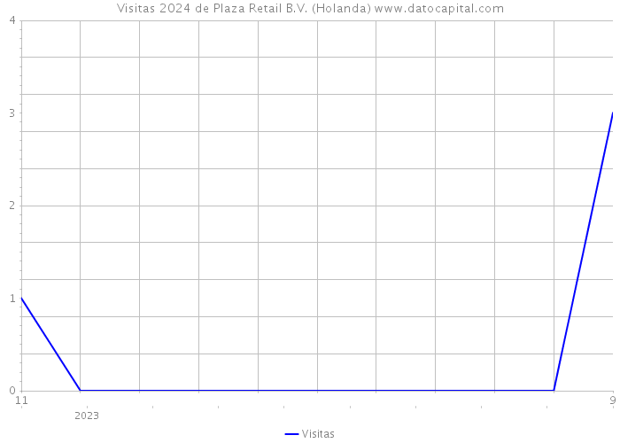 Visitas 2024 de Plaza Retail B.V. (Holanda) 