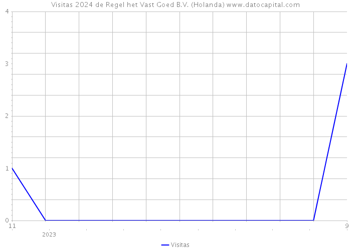 Visitas 2024 de Regel het Vast Goed B.V. (Holanda) 