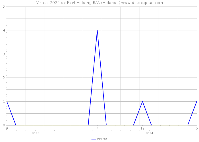 Visitas 2024 de Reel Holding B.V. (Holanda) 