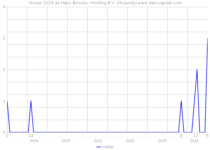 Visitas 2024 de Hako Benelux Holding B.V. (Holanda) 