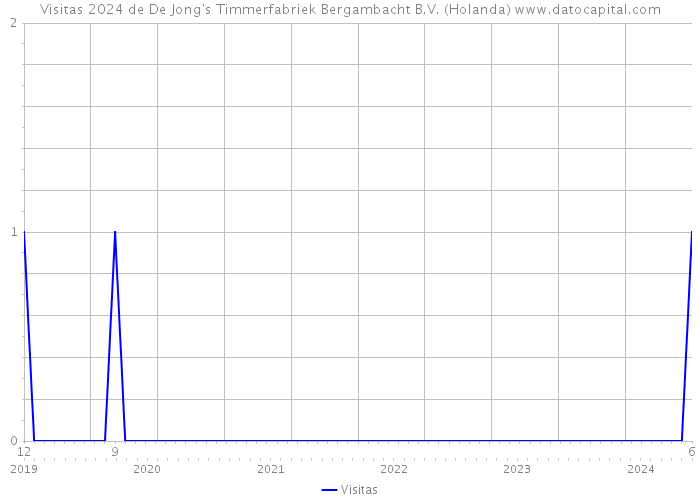 Visitas 2024 de De Jong's Timmerfabriek Bergambacht B.V. (Holanda) 